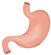 關注職場“腸”態，守護員工健康——上海格瑞特特邀消化內科專家公益系列講座（4）(圖9)